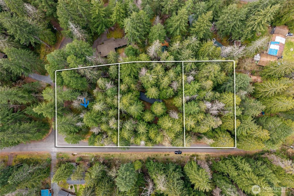 Photo of 38313 566th Street Ct E, Ashford, WA 98304 (MLS # 2484025)