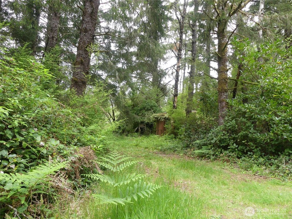 Photo of 14001 Birch Street, Long Beach, WA 98631 (MLS # 2524244)
