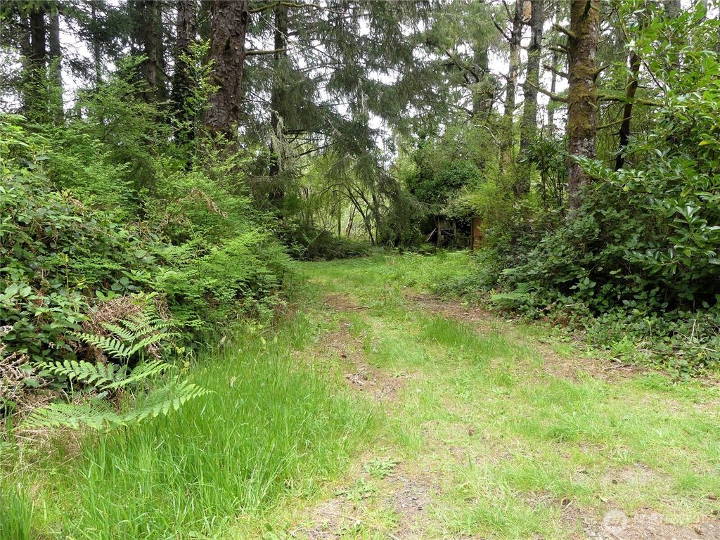 Photo of 14001 Birch Street, Long Beach, WA 98631 (MLS # 2524244)