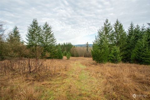 0 Burchett Road Onalaska WA 98570