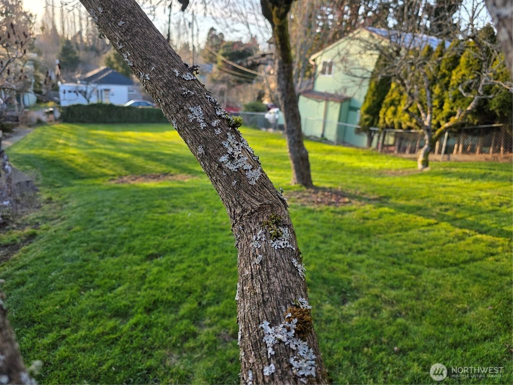 Photo of 1321 23rd Street, Bellingham, WA 98225 (MLS # 2494841)