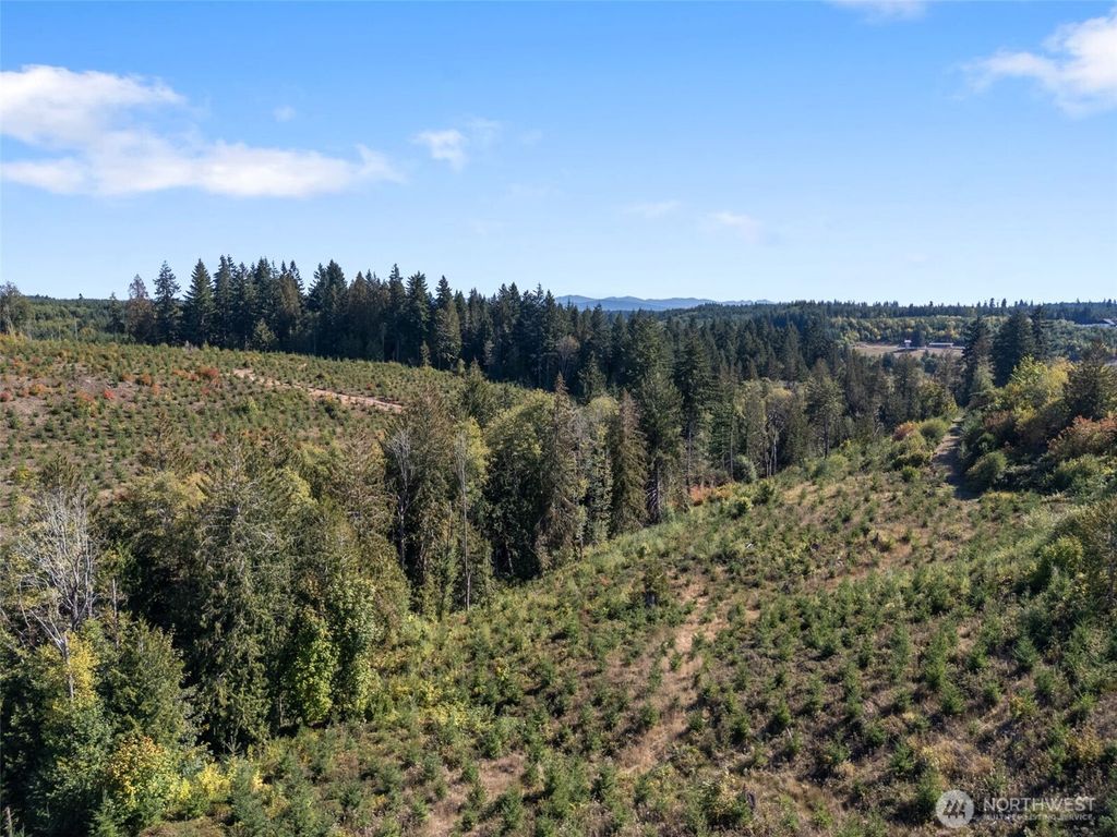 Photo of 0 Macomber Road W, Chehalis, WA 98532 (MLS # 2472301)