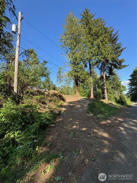 0 E panorama Lot15 Shelton WA 98584