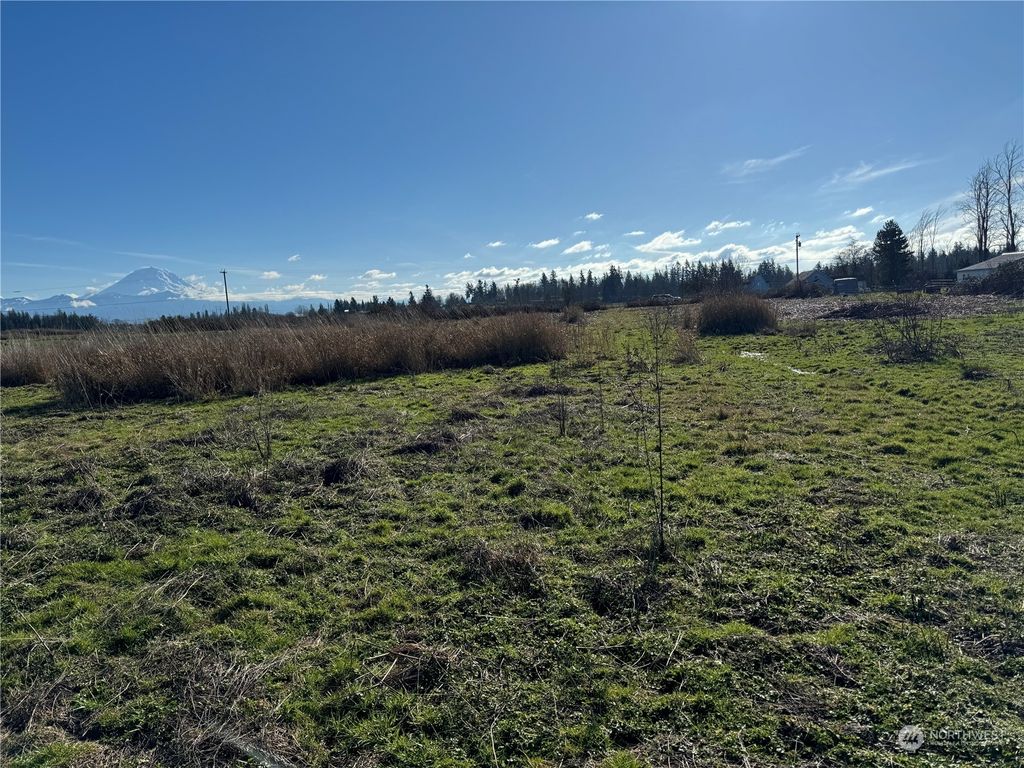 Photo of 183 XX SE 416th Street, Enumclaw, WA 98022 (MLS # 2198533)