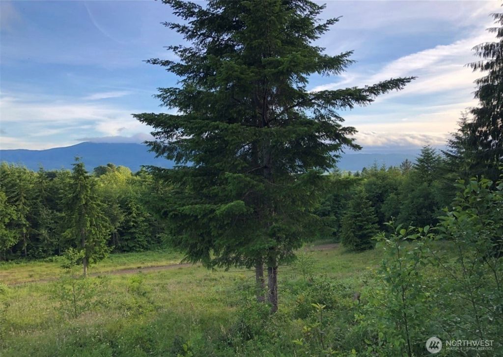 Photo of 24 Kristy Kay Lane, Cathlamet, WA 98612 (MLS # 2463834)