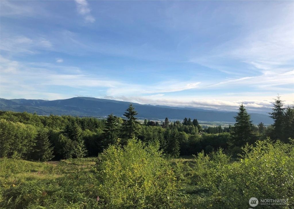 Photo of 24 Kristy Kay Lane, Cathlamet, WA 98612 (MLS # 2463834)