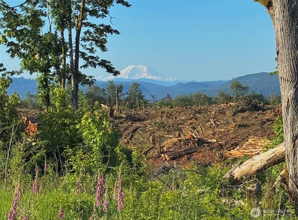 Photo of 27419 Old Pipeline Road, Monroe, WA 98272 (MLS # 2586063)