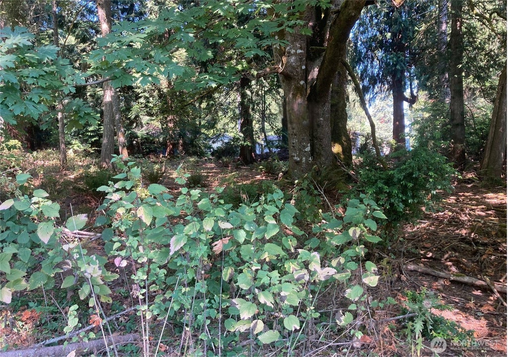 Photo of 10919 Riviera Drive, Anderson Island, WA 98303 (MLS # 2575800)