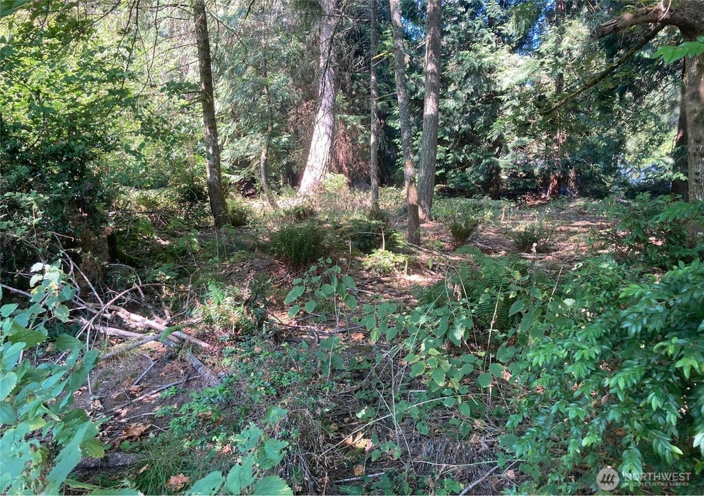 Photo of 10919 Riviera Drive, Anderson Island, WA 98303 (MLS # 2575800)