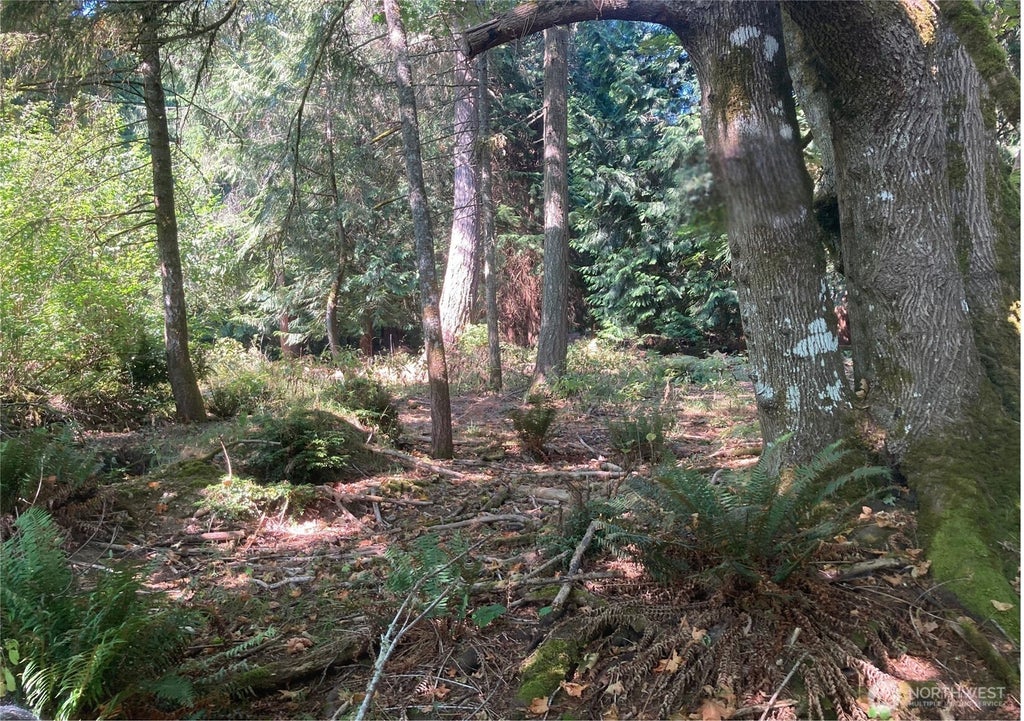 Photo of 10919 Riviera Drive, Anderson Island, WA 98303 (MLS # 2575800)
