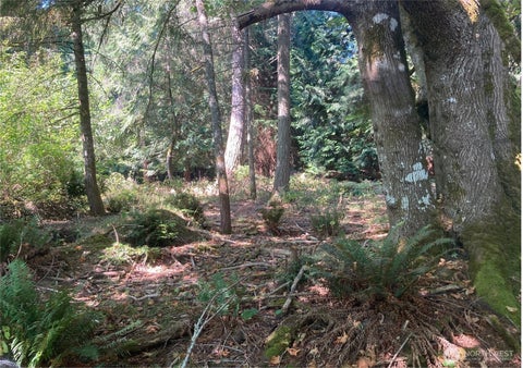 Photo of 10919 Riviera Drive, Anderson Island, WA 98303 (MLS # 2575800)