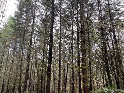 0 Pleasant Valley Road Chehalis WA 98532