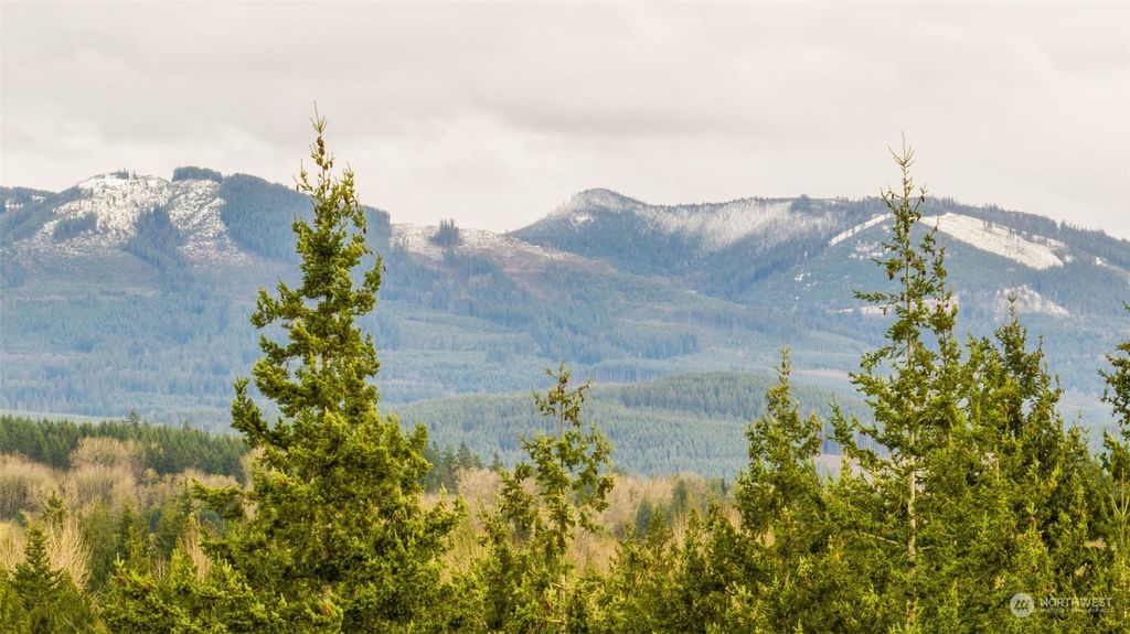 Photo of 0 288th Street NW, Stanwood, WA 98292 (MLS # 2312883)