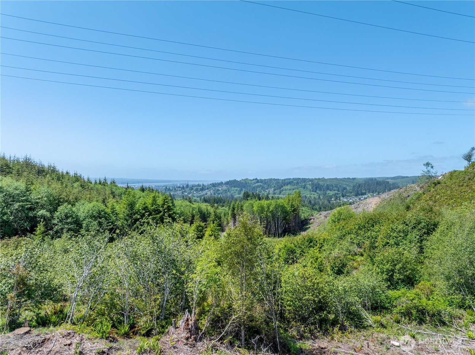 50 E Wishkah Road