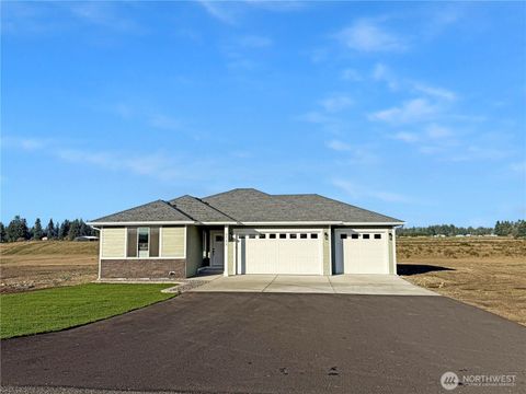 Photo of 3732 169th Avenue SW, Tenino, WA 98589 (MLS # 2413581)