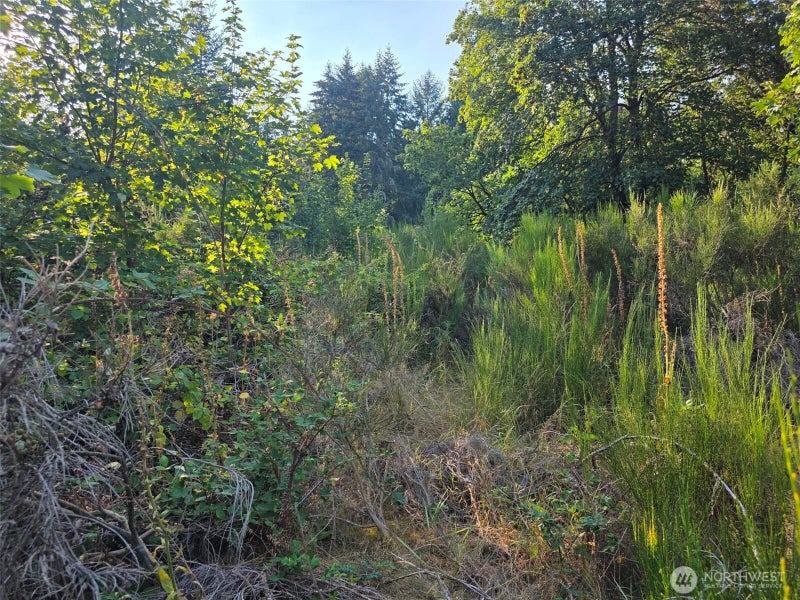 27313 Vashon Highway SW
