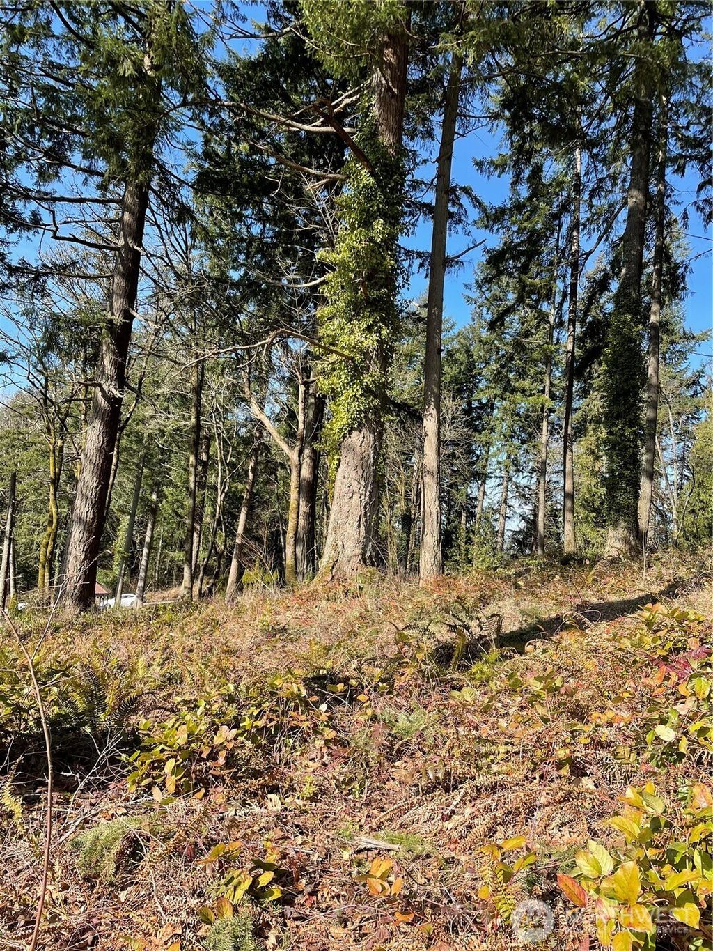 Photo of 425 SE Hilltop Drive, Chehalis, WA 98532 (MLS # 2459300)