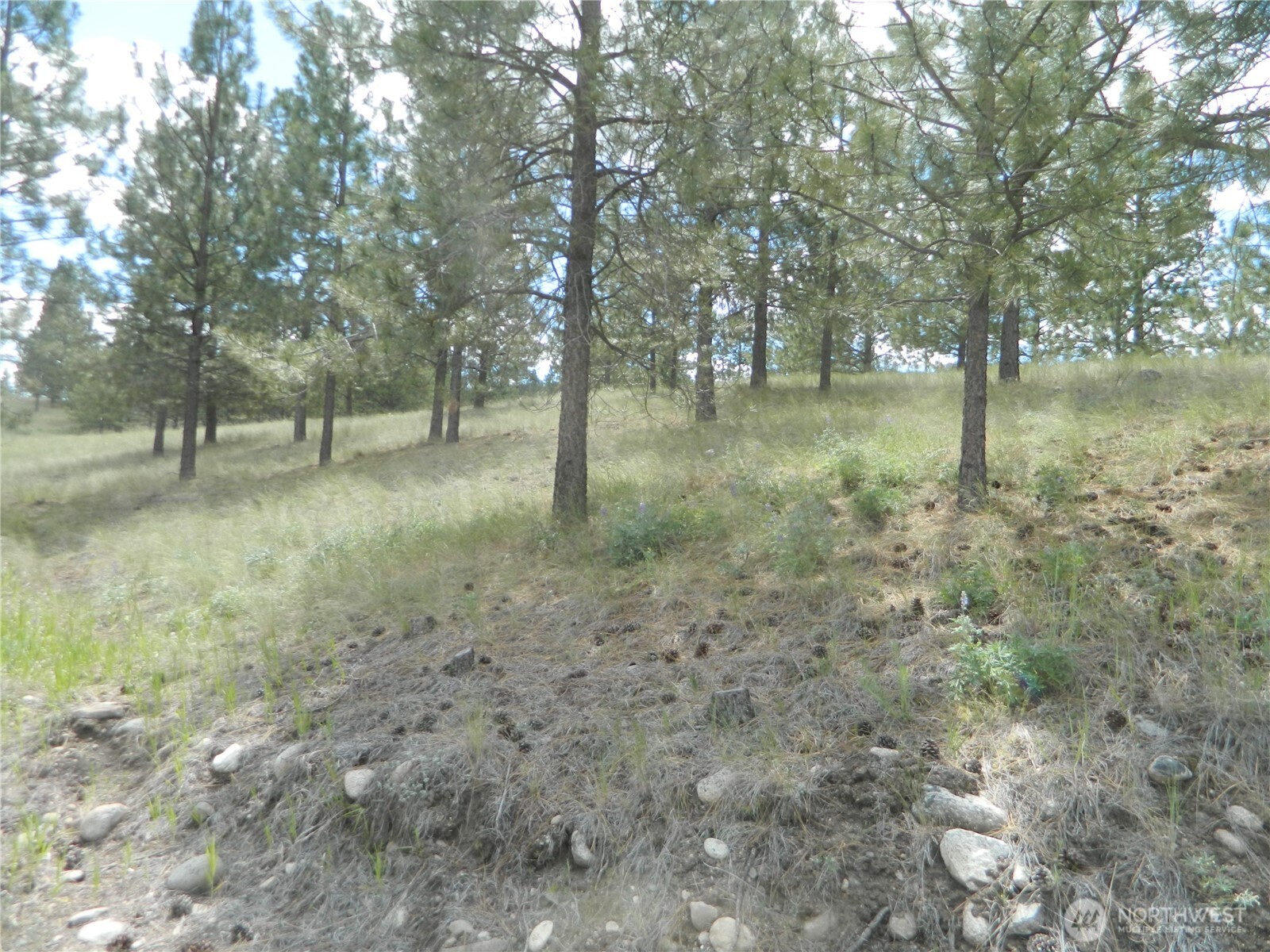 439 Aeneas Valley Road