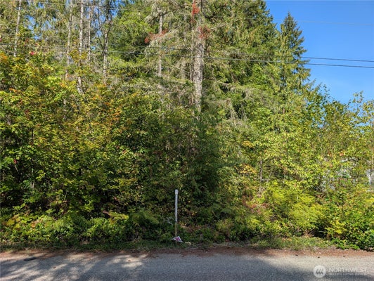 459 E BAKER ST, CONCRETE, WA 98237 - Image 0688d8cb2f2cdcfcb9d97b9a8ad190c2/4168076703