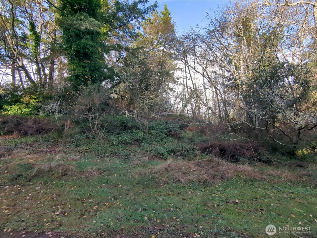 Photo of 0 247th, Ocean Park, WA 98640 (MLS # 2459611)