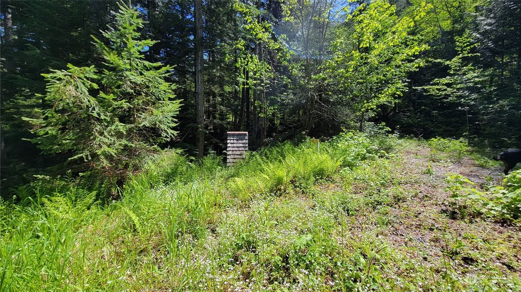Photo of 87003 NE 122nd, Skykomish, WA 98288 (MLS # 2245160)