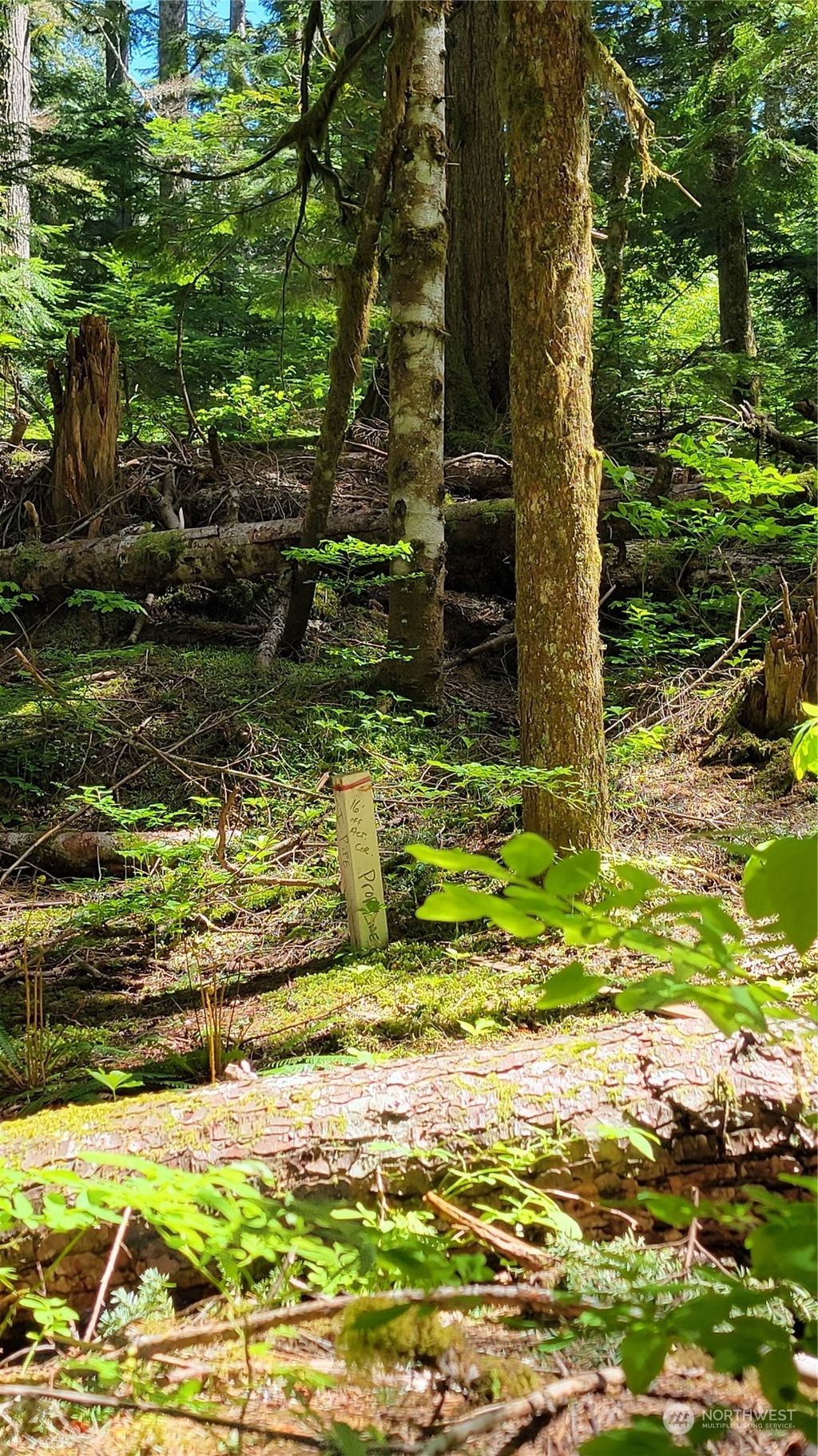 Photo of 87003 NE 122nd, Skykomish, WA 98288 (MLS # 2245160)