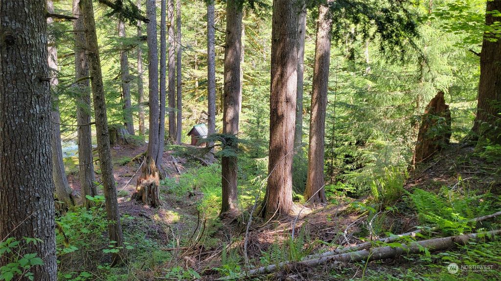 Photo of 87003 NE 122nd, Skykomish, WA 98288 (MLS # 2245160)