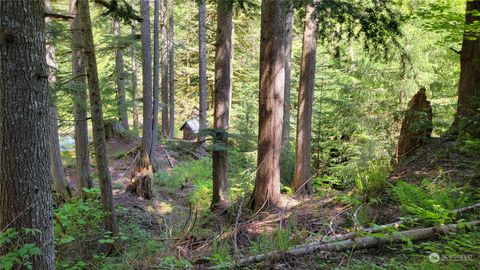 87003 NE 122nd Skykomish WA 98288