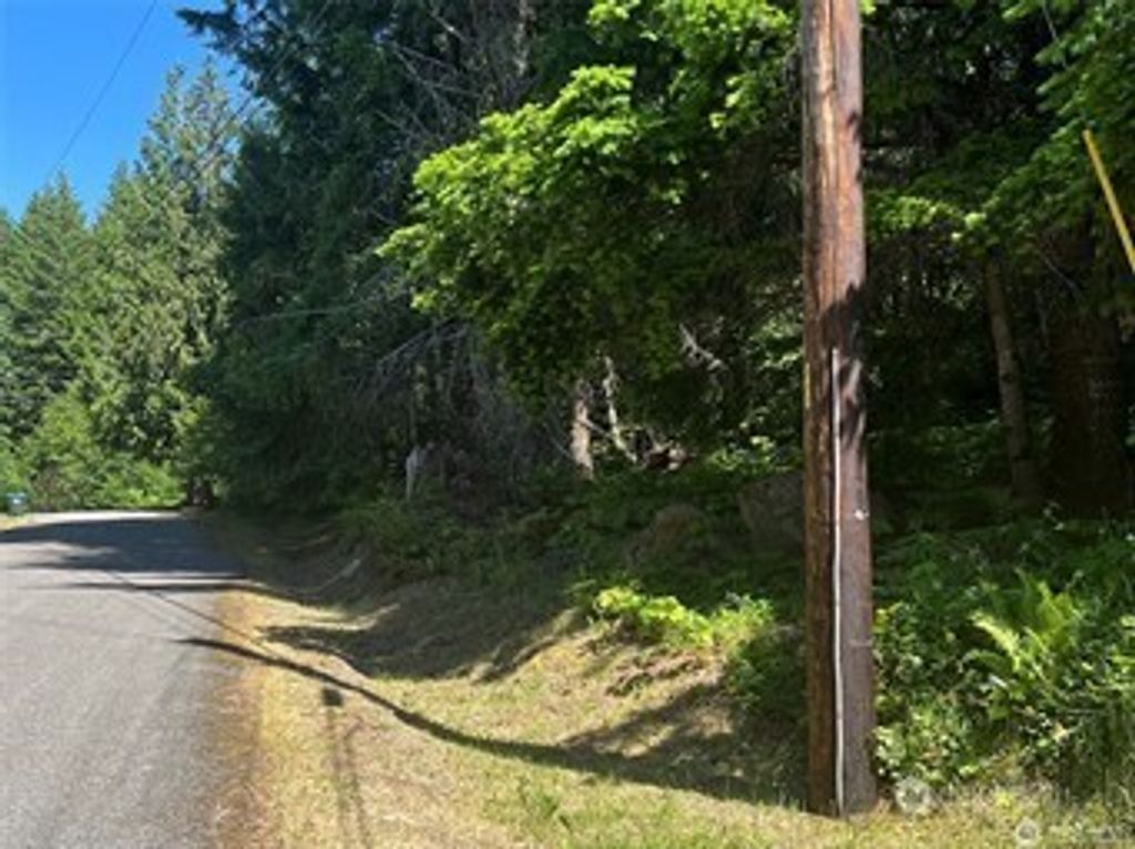 Photo of 103 Ridge Lane, Packwood, WA 98361 (MLS # 2473119)