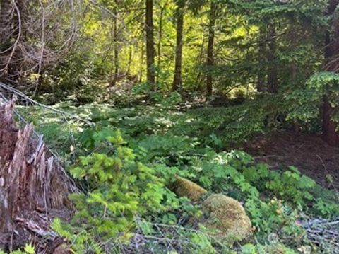 103 Ridge Lane Packwood WA 98361