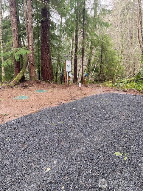 61 N Duckabush Drive N