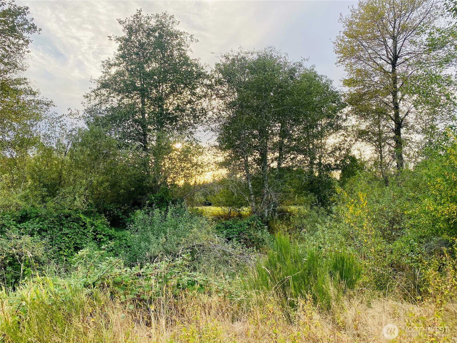 3444 W Matlock-Brady Road