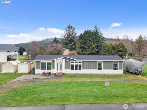 Photo of 4 Nature Loop, Cathlamet, WA 98612 (MLS # 2491575)