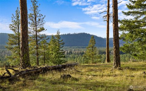 A home in Cle Elum