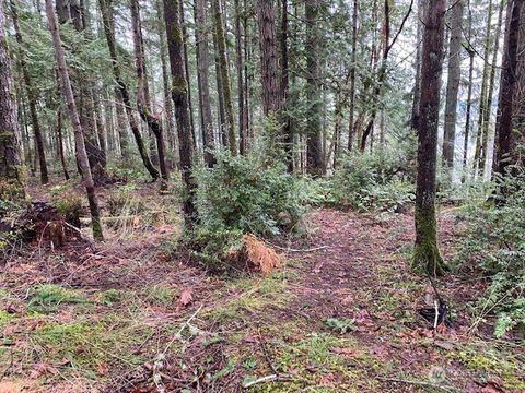 Photo of 0 Bear Street, Shelton, WA 98584 (MLS # 2496740)