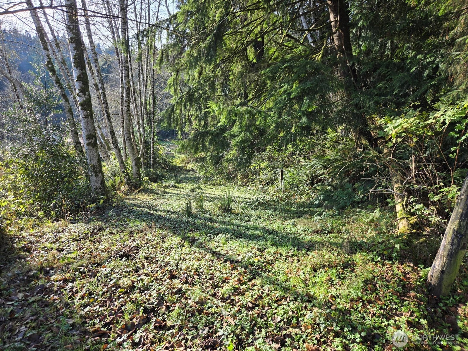 0 Kendrick and Wier Street