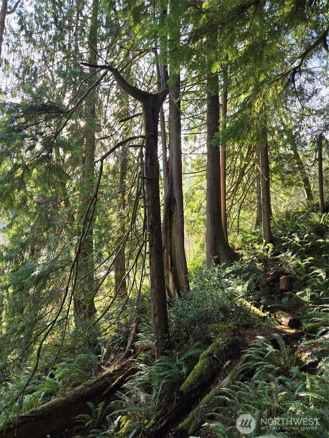 0 Kendrick and Wier Street