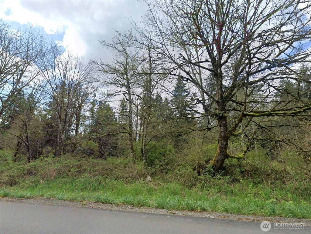 Photo of 18745 Mountain View Rd NE, Duvall, WA 98019 (MLS # 2481462)