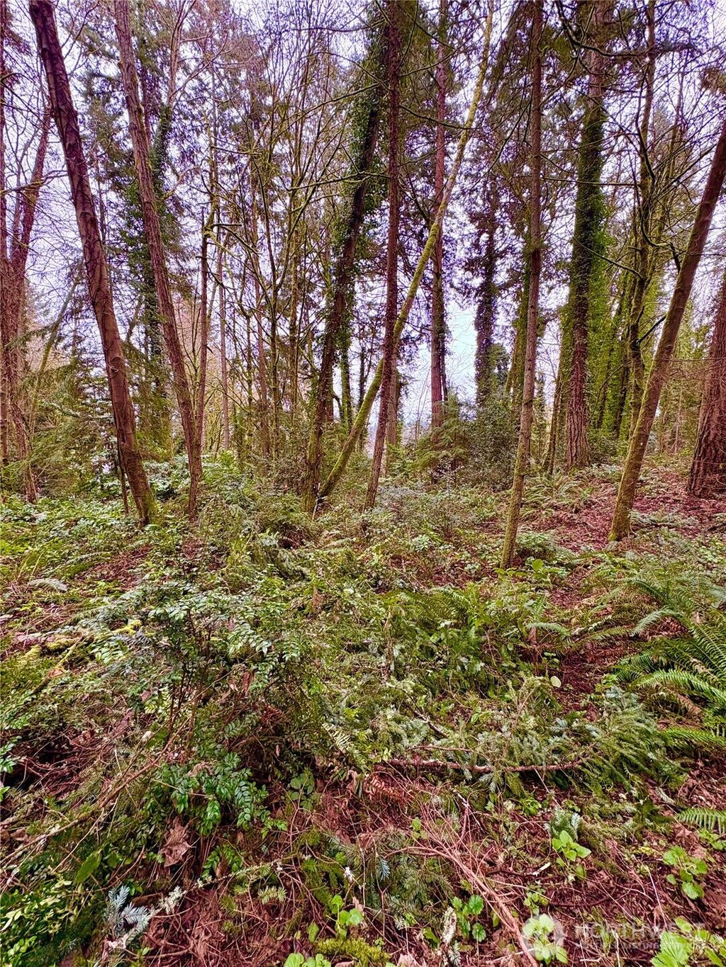 Photo of 0 SW 230th Street, Vashon, WA 98070 (MLS # 2492481)