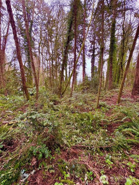 0 SW 230th Street Vashon WA 98070