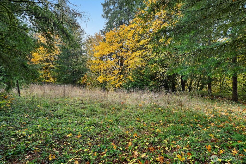 Photo of 504 Telegraph Road, Toledo, WA 98591 (MLS # 2451607)