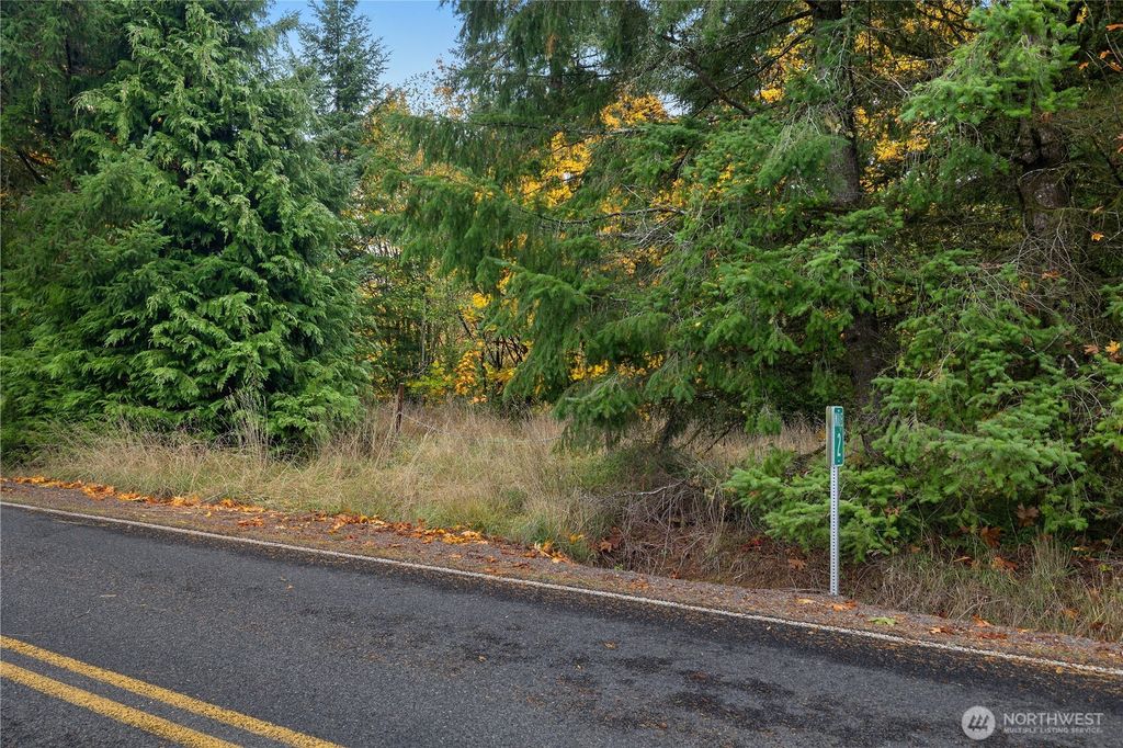 Photo of 504 Telegraph Road, Toledo, WA 98591 (MLS # 2451607)