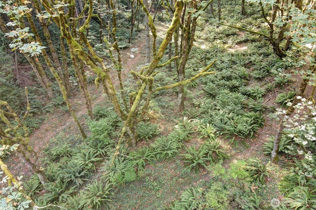 Photo of 37 XXX SE 212th Way, Sammamish, WA 98075 (MLS # 2465652)