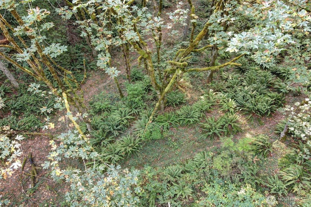 Photo of 37 XXX SE 212th Way, Sammamish, WA 98075 (MLS # 2465652)