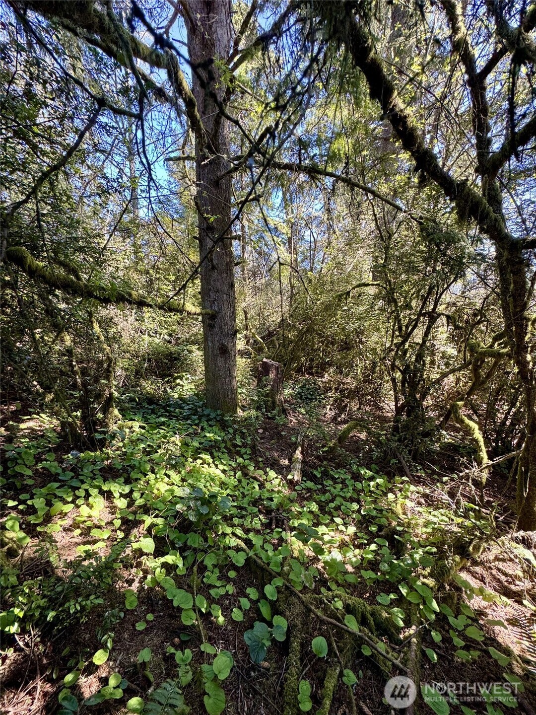 0 S Forrest Street