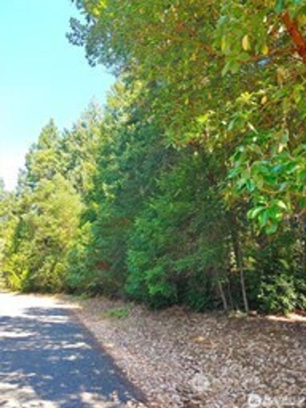 Photo of 12611 Silver Drive, Anderson Island, WA 98303 (MLS # 2469687)