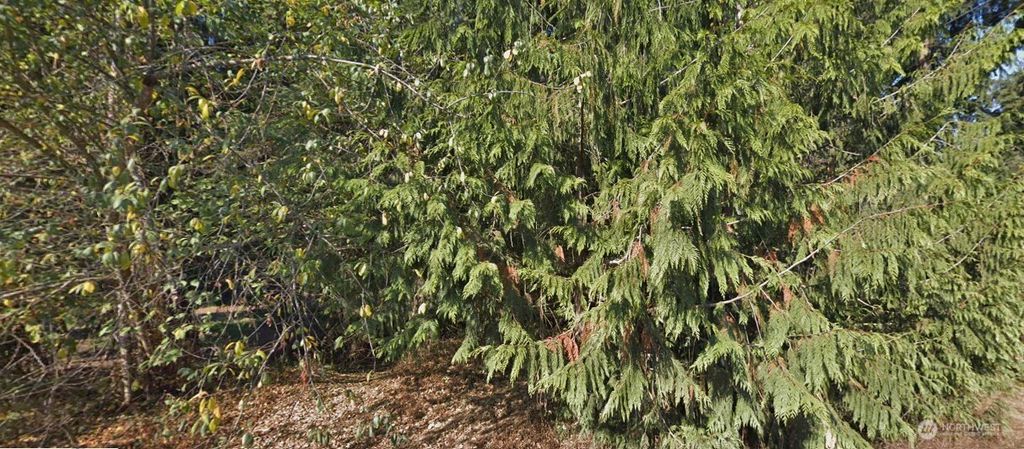 Photo of 372 XX 34TH Avenue S, Auburn, WA 98001 (MLS # 2428791)