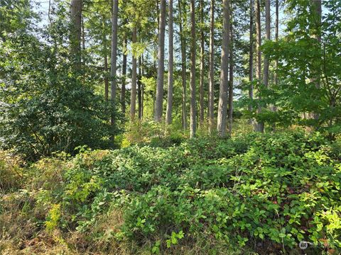 Photo of 4081 Preserve Drive, Camano Island, WA 98282 (MLS # 2279365)