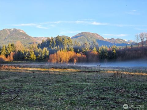 127 Campfire Lane Packwood WA 98361