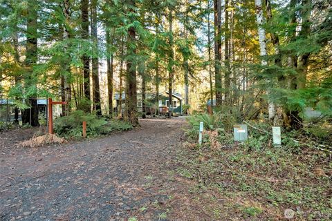 91 N Wigeon Place Hoodsport WA 98584